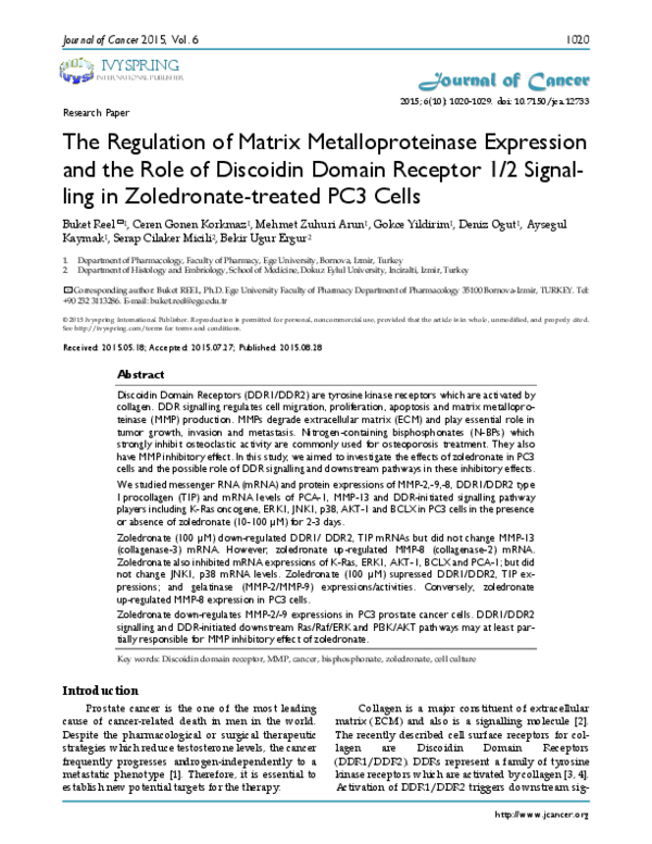(PDF) The Regulation of Matrix Metalloproteinase Expression and the ...