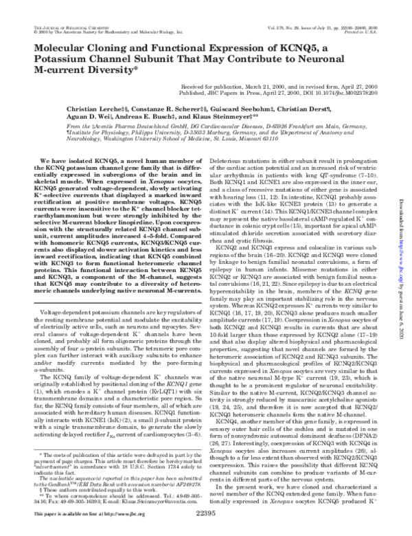 (PDF) Molecular Cloning and Functional Expression of KCNQ5, a Potassium ...