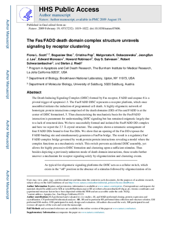 (PDF) The Fas-FADD death domain complex structure unravels signalling ...