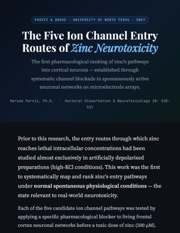 (PDF) Zinc entry pathways-- The Five Ion Channel Entry Routes of Zinc ...