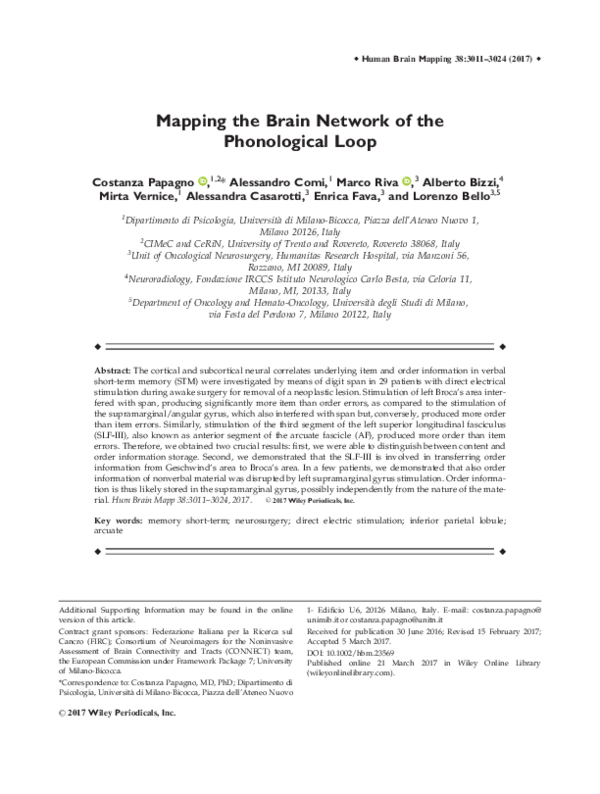 (PDF) Mapping the brain network of the phonological loop