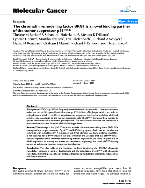 (PDF) The chromatin remodelling factor BRG1 is a novel binding partner ...