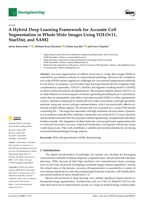(PDF) A Hybrid Deep Learning Framework for Accurate Cell Segmentation ...