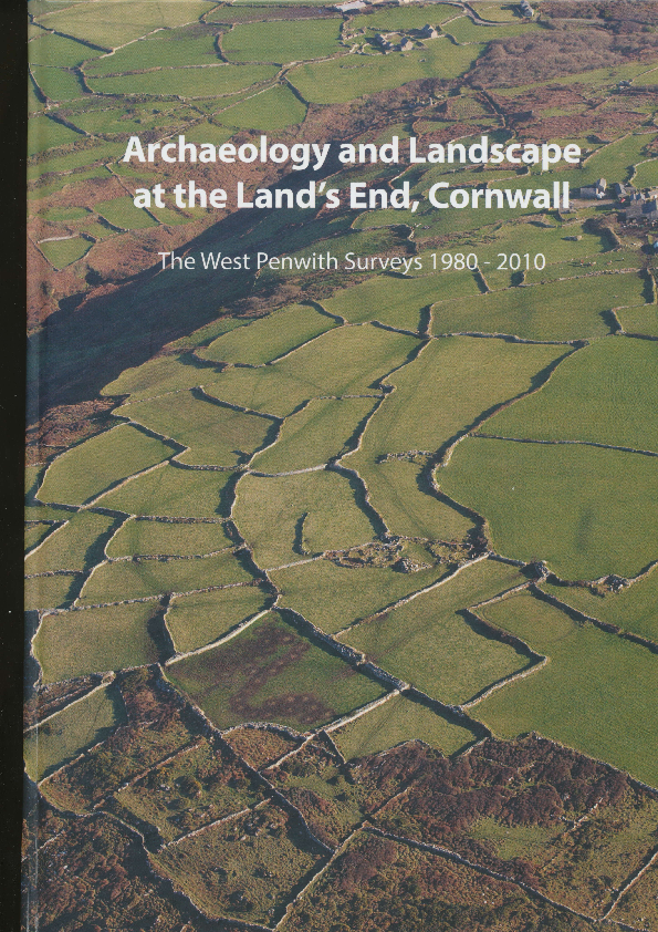 (PDF) Ch 7 Remarkable Landscapes of ancient fields - the later ...