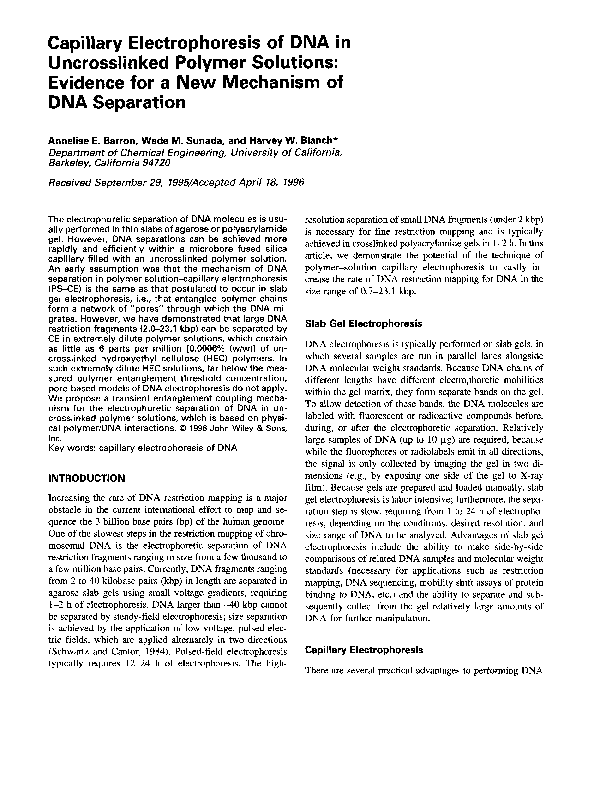 (PDF) Capillary electrophoresis of DNA in uncrosslinked polymer ...
