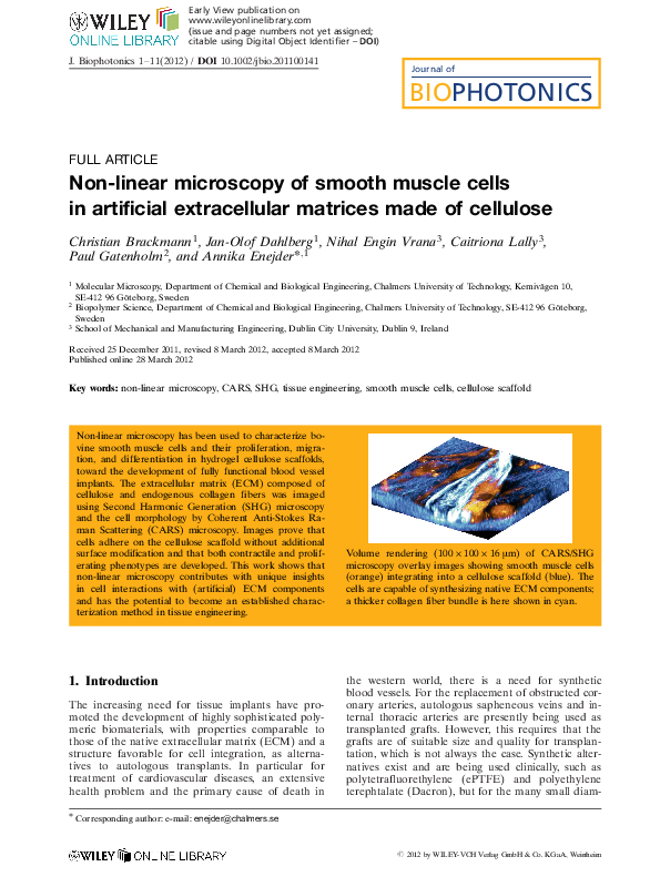 PDF Non linear Microscopy Of Smooth Muscle Cells In Artificial