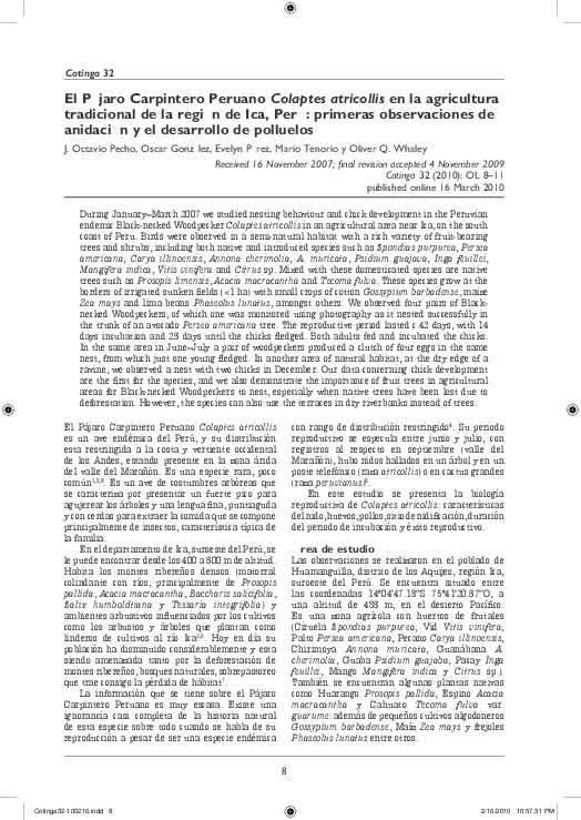 (PDF) El Pájaro Carpintero Peruano Colaptes atricollis en la