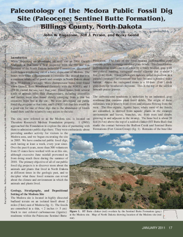 (PDF) Paleontology of the Medora Public Fossil Dig Site (Paleocene ...