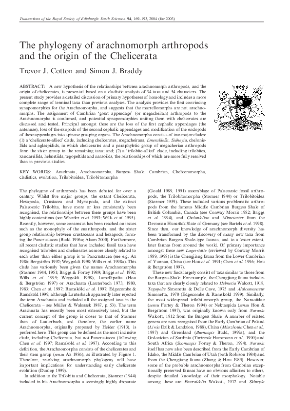 Thesis on arthropods 07 picture