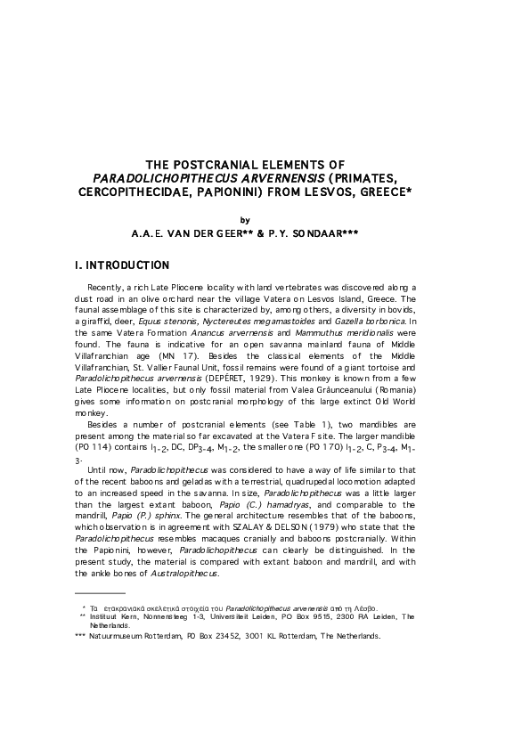 (PDF) The postcranial elements of Paradolichopithecus arvernensis ...