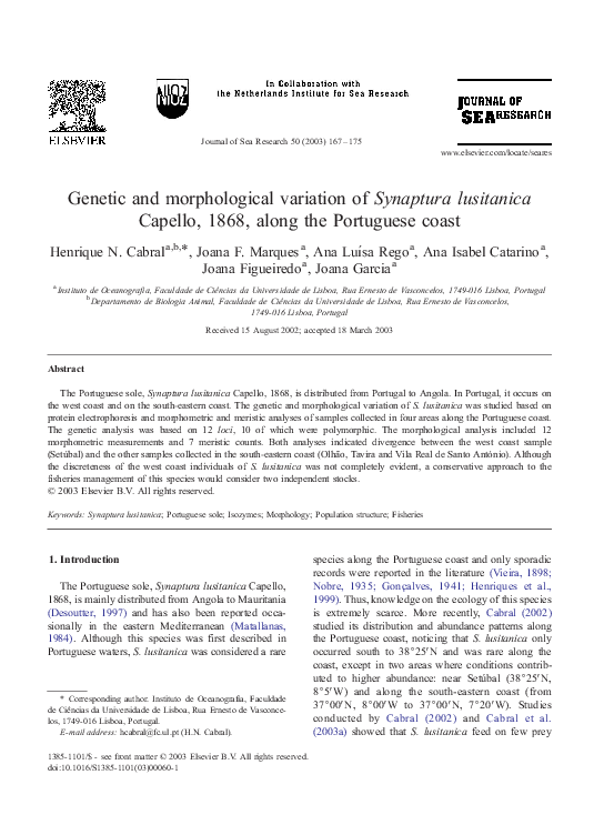 (PDF) and morphological variation of Synaptura lusitanica