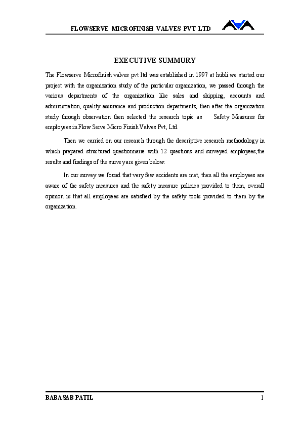 Organisation study at minar ispat pvt ltd essay 07 image