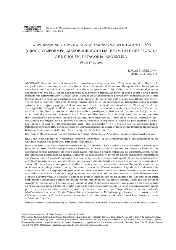 (PDF) New Remains of Notosuchus Terrestris Woodward, 1896 ...