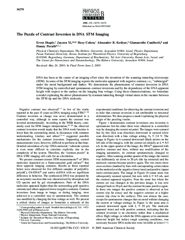 (PDF) The Puzzle of Contrast Inversion In DNA STM Imaging