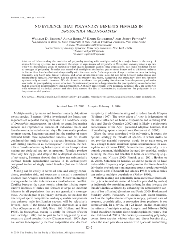 Drosophila melanogaster characteristics picture
