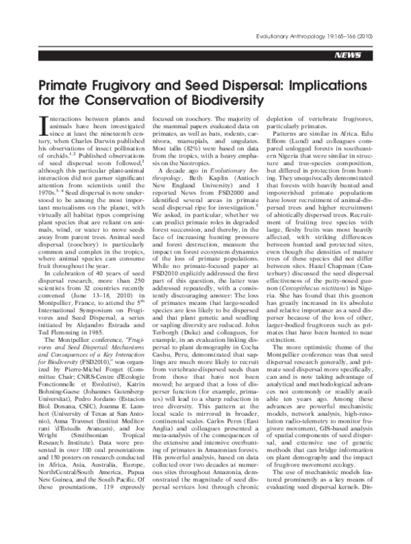 Do apes have tails image