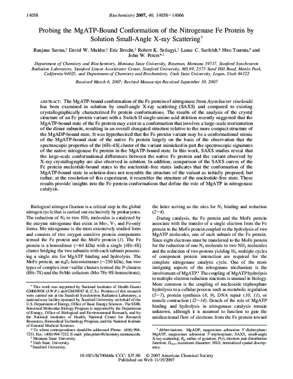 (PDF) Probing the MgATP-bound conformation of the nitrogenase Fe ...