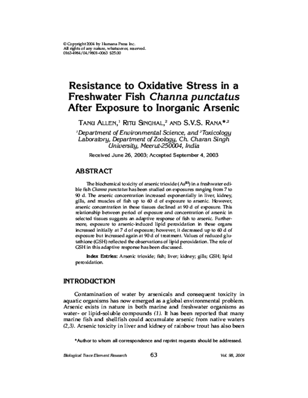 Essay about stress in life image