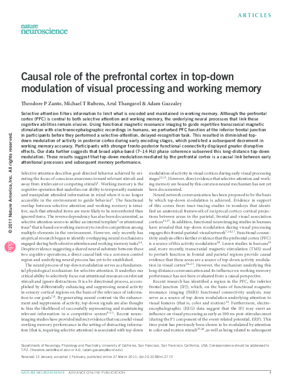 (PDF) Causal role of the prefrontal cortex in top-down modulation of ...