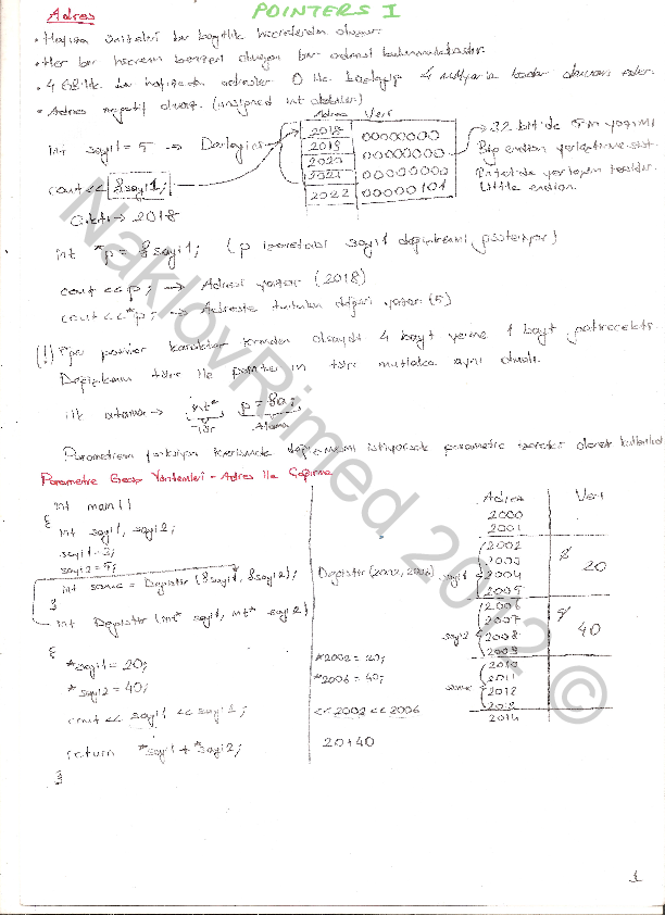Jhelum river origin image