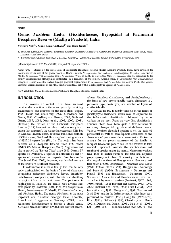 Pachmarhi tour package picture