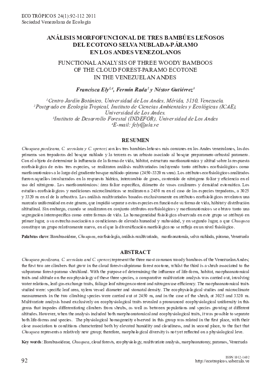 Pedro paramo picture