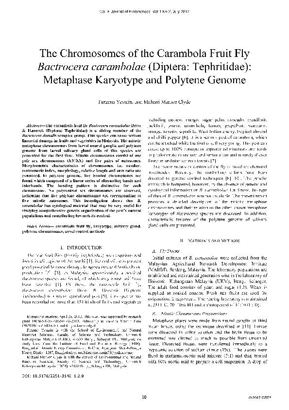 (PDF) The Chromosomes of the Carambola fruit Fly, Bactrocera carambolae