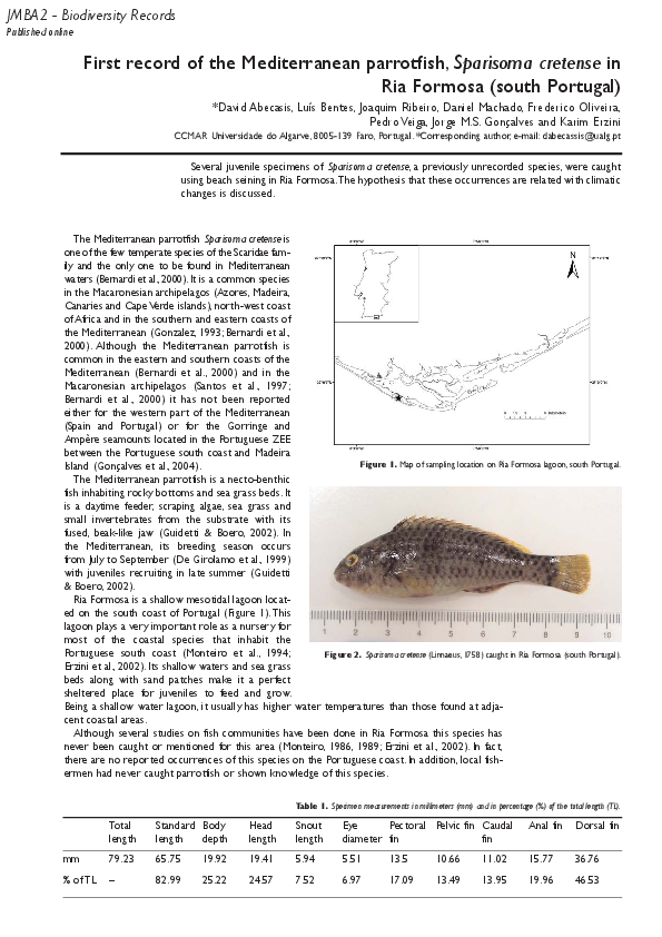 PDF) First record of the Mediterranean parrotfish, Sparisoma