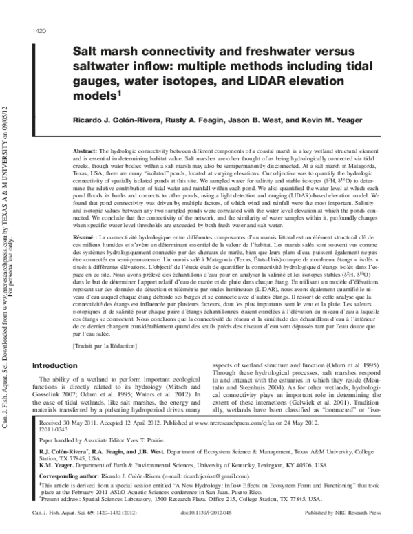 Salt marsh biodiversity picture
