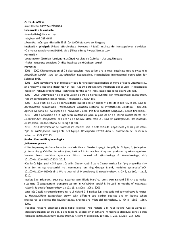 Curriculum vitae examples pdf picture