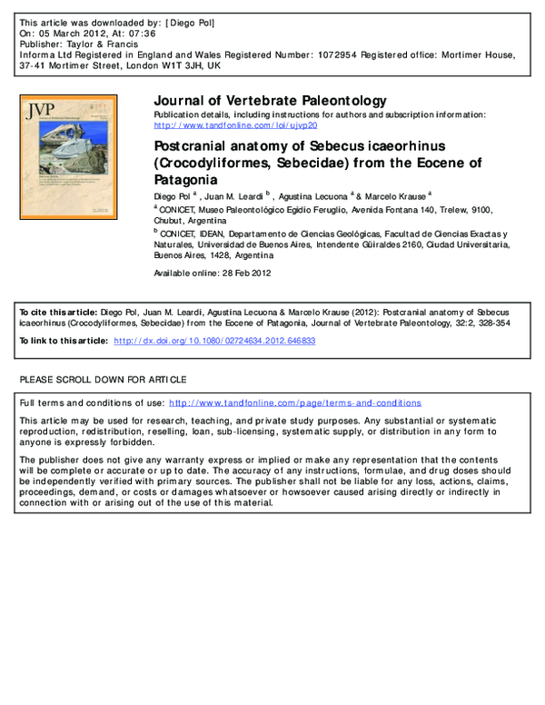 (PDF) Postcranial anatomy of Sebecus icaeorhinus (Crocodyliformes ...