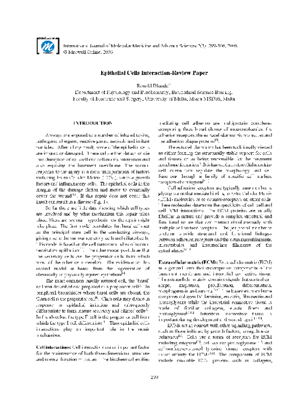 Important characteristics of epithelial tissue image