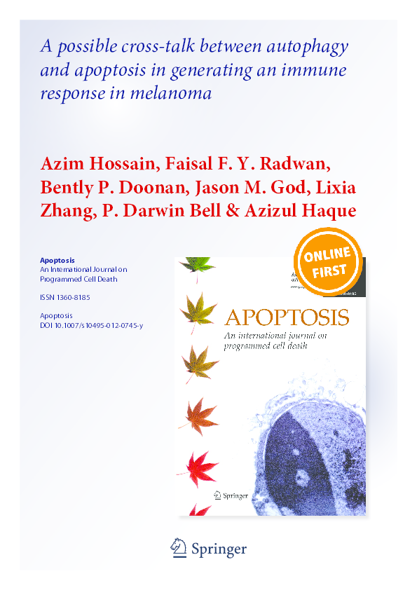 (PDF) A possible cross-talk between autophagy and apoptosis in ...