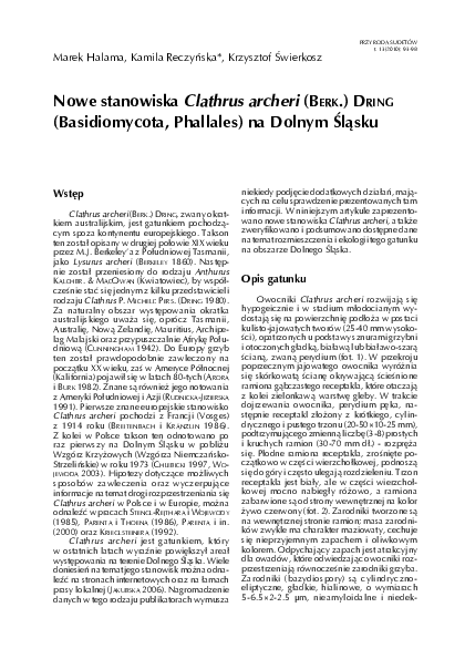 How to make essays longer image