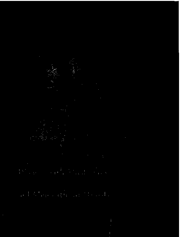 (PDF) Women with mustaches and men without beards