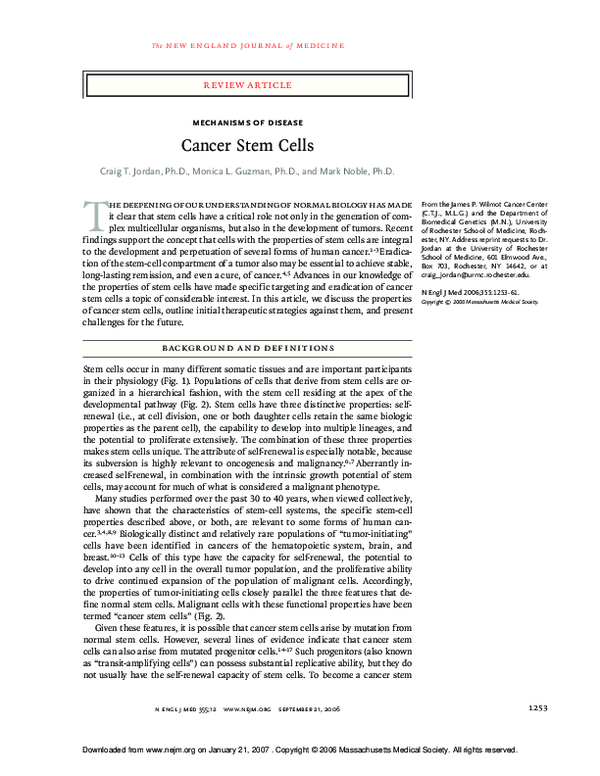 (PDF) cancer stem cells