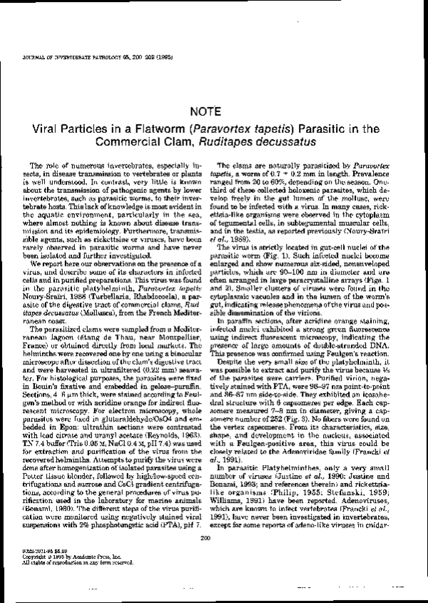 (PDF) Viral particles in a flatworm (Paravortex tapetis) parasitic in ...