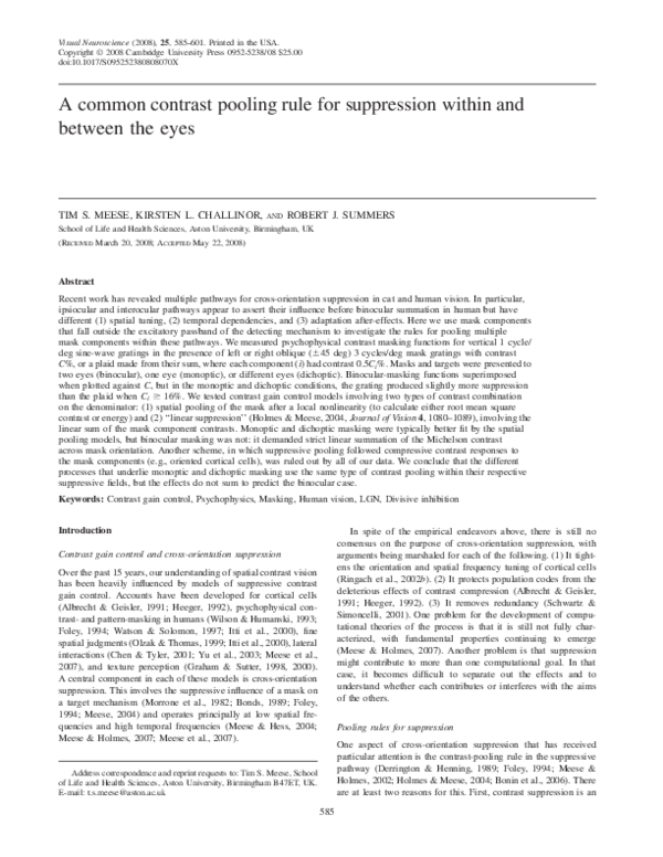(PDF) A common contrast pooling rule for suppression within and between ...