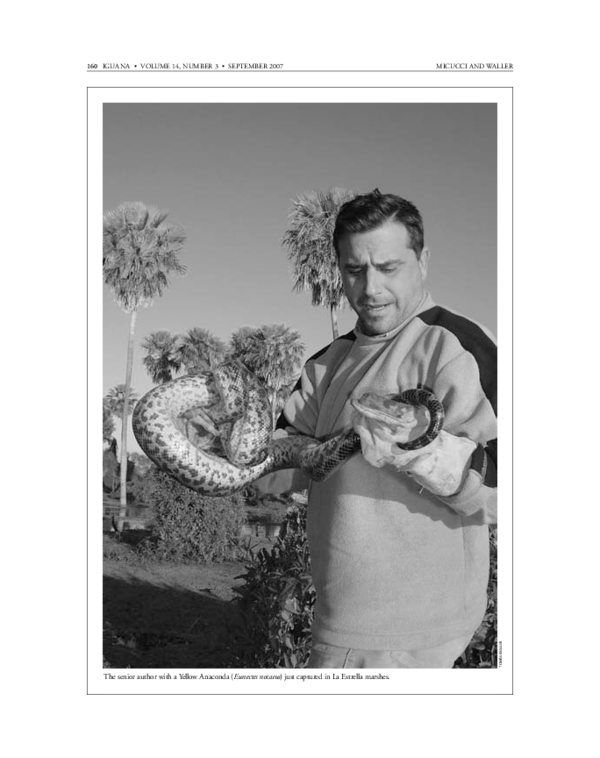 paper cover thumbnail