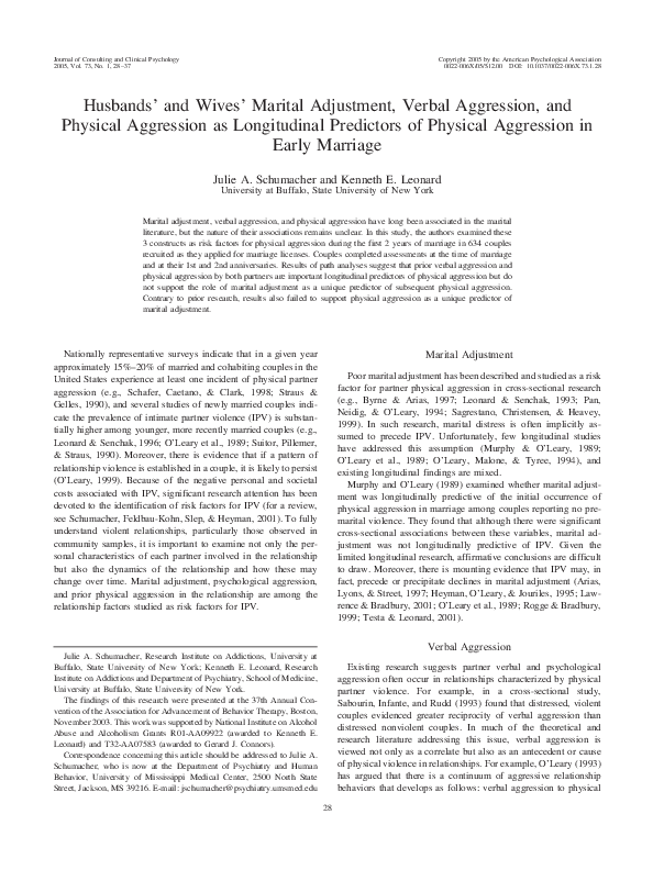 Chronic verbal aggression image
