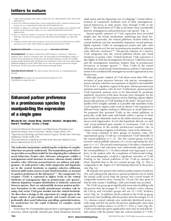 Essay on promiscuity 04 image