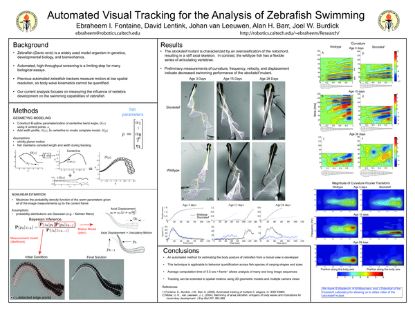 (PDF) Automated Visual Tracking for the Analysis of Zebrafish Swimming