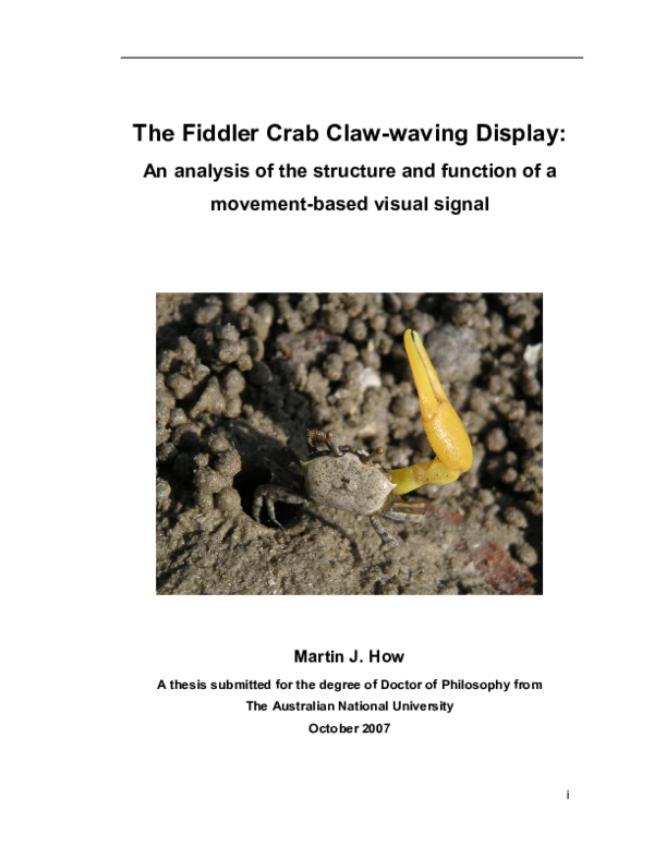 (PDF) ANU-Digital Collections: The fiddler crab claw-waving display: an ...
