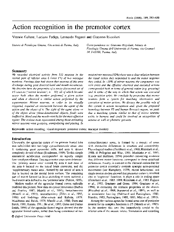 (PDF) Action recognition in the premotor cortex