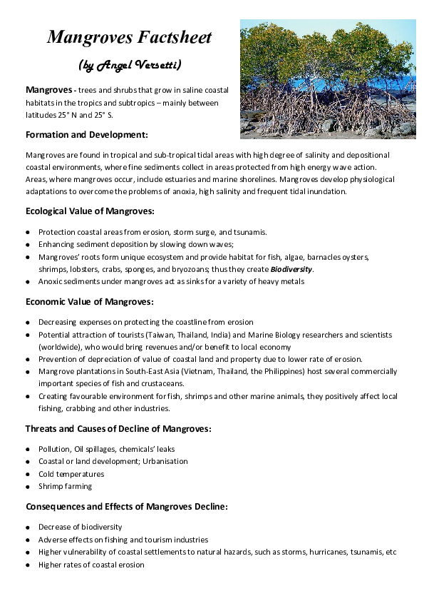 Human impact on mangroves image