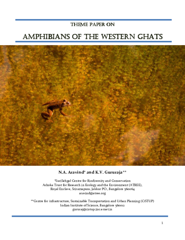 Is a frog a reptile image