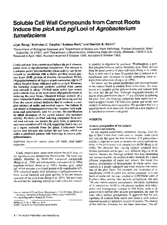 Soluble and insoluble substances image