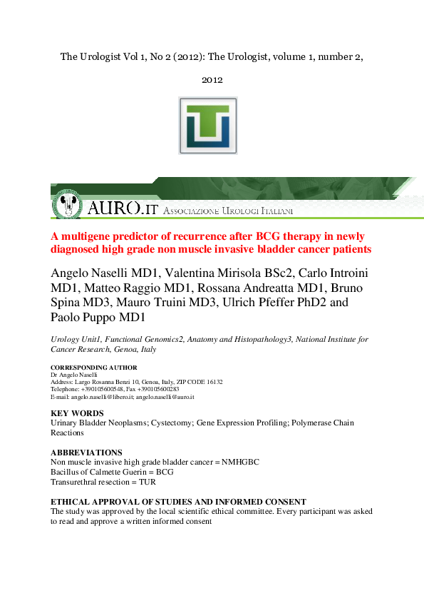 Grade my essay grammarly image