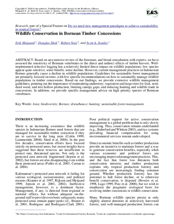 Research paper on wildlife image