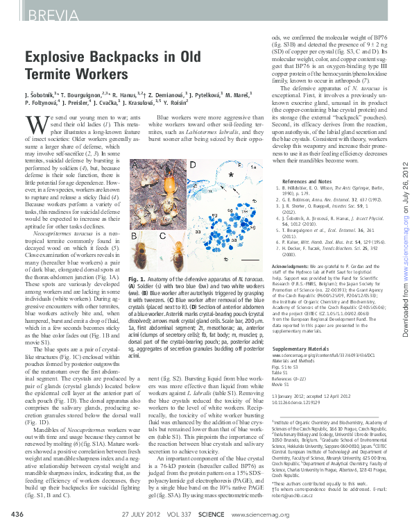 (PDF) Explosive backpack in old termite workers
